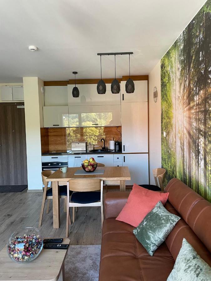 Apartament Delux 2 شكلارسكا بوريبا المظهر الخارجي الصورة